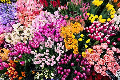 超详细改装！《自行车修理大师》Steam页面上线