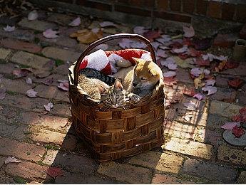 皮克斯新作《Elio》前瞻预告 明年3月1日北美上映